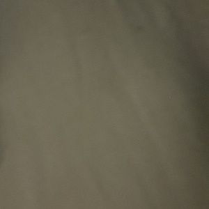 Meet your Posher, Shane